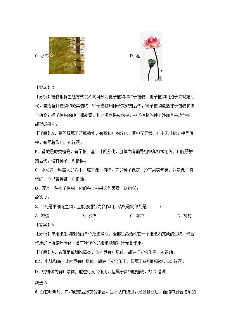 辽宁省大连市西岗区2024-2025学年七年级上学期期末生物试卷(解析版)第3页