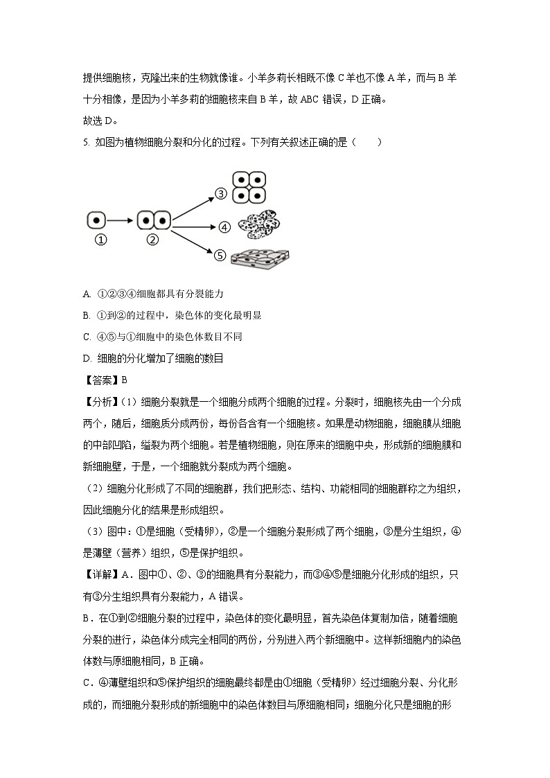 辽宁省锦州市2024-2025学年七年级上学期期末生物试卷(解析版)第3页