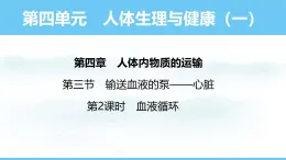 人教版（2024）七年级生物下册课件 第四单元 第四章 第三节第二课时 血液循环