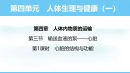 人教版（2024）七年级生物下册课件 第四单元 第四章 第三节第一课时 心脏的结构与功能