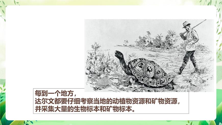 濟南版生物八下5.1.4.1《生物進化的原因》課件第6頁