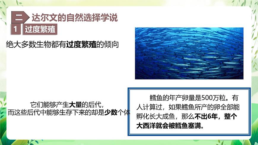 濟南版生物八下5.1.4.1《生物進化的原因》課件第8頁