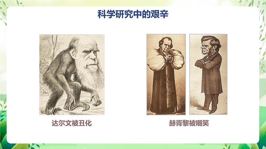 濟南版生物八下5.2.1.1《人類的起源》課件第6頁