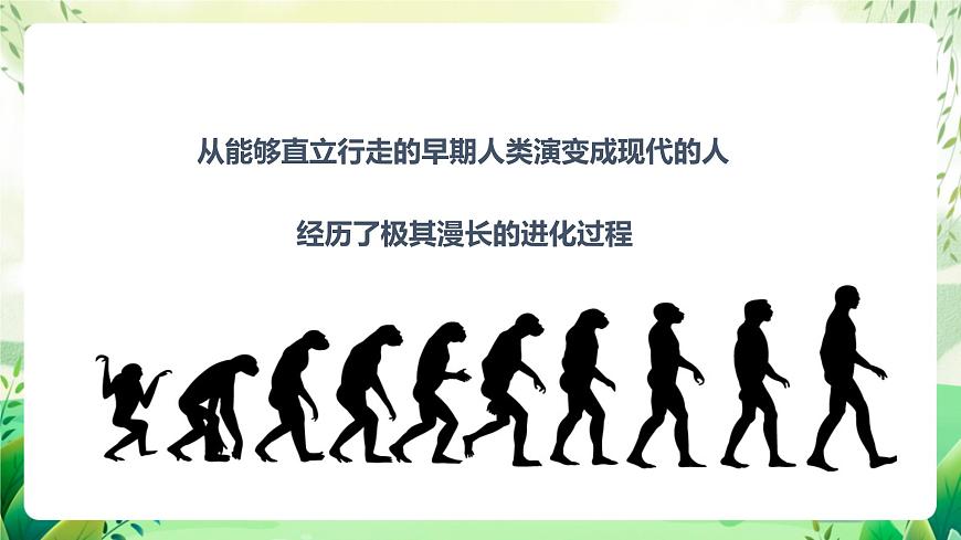 濟(jì)南版生物八下5.2.2.1《人類的進(jìn)化》課件第3頁