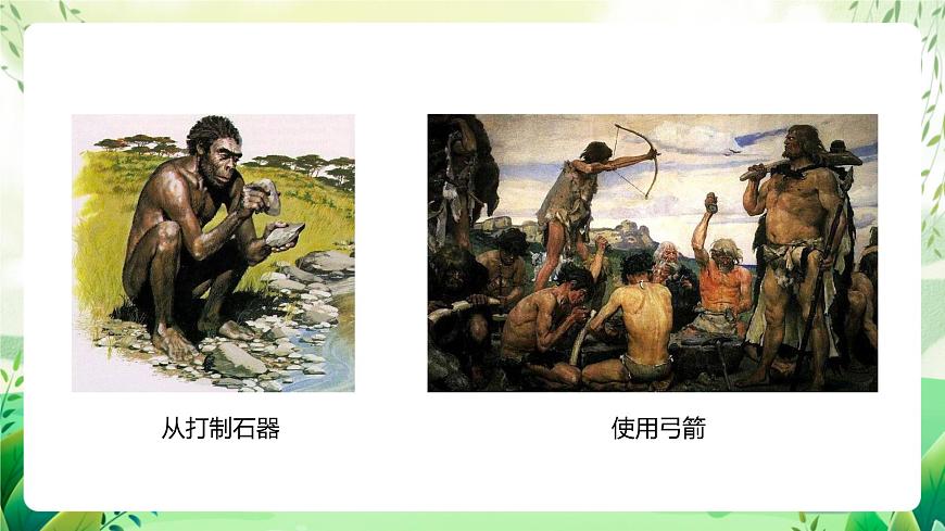 濟(jì)南版生物八下5.2.2.1《人類的進(jìn)化》課件第6頁