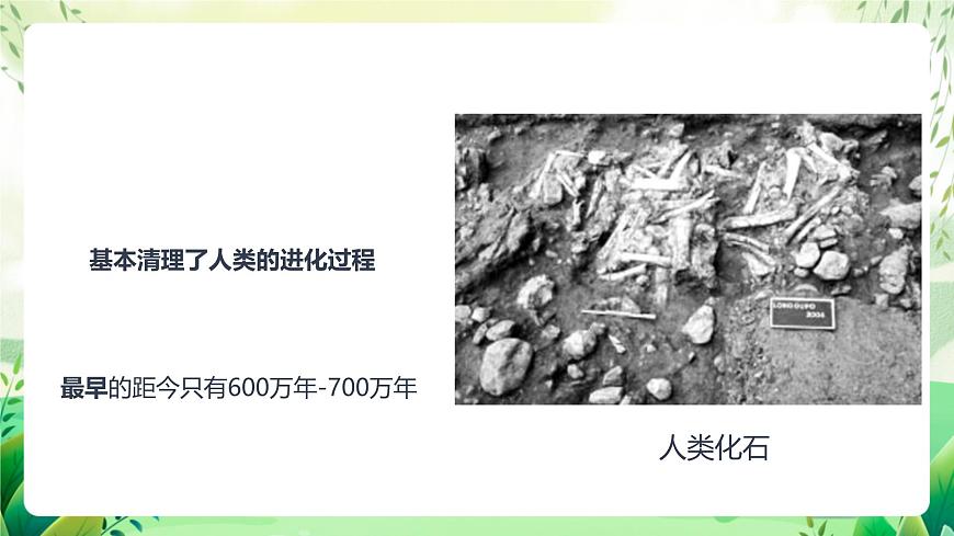 濟(jì)南版生物八下5.2.2.1《人類的進(jìn)化》課件第8頁