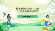 初中生物沪教版八年级下册 生命科学第一节 植物精品ppt课件