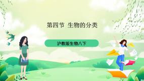 初中生物沪教版八年级下册 生命科学第四节 生物的分类优秀课件ppt