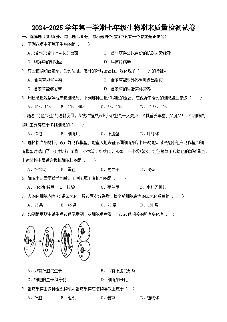 甘肃省武威市第三中学教育集团联片教研2024-2025学年七年级上学期期末考试生物试卷