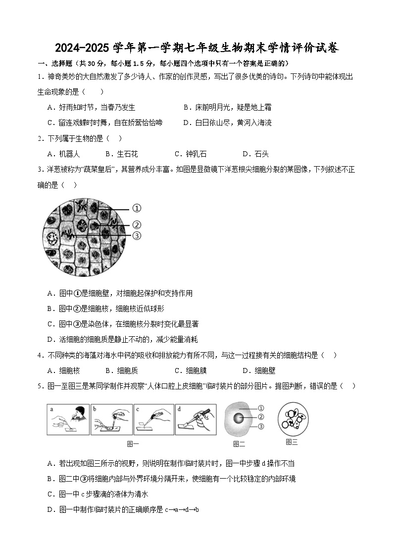 甘肃省武威市凉州区金羊九年制学校联片中心教研组2024-2025学年七年级上学期生物期末学情评价试卷