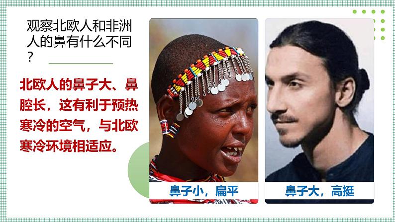 8.2 人体细胞获得氧气的过程 PPT BSD第7页