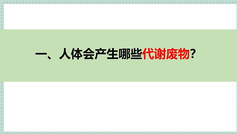 9.1人体产生的代谢废物 PPT BSD第5页