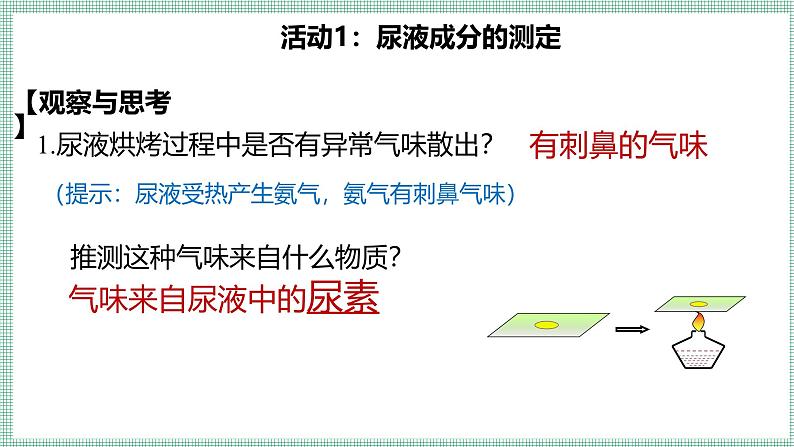 9.1人体产生的代谢废物 PPT BSD第8页