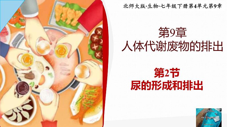 9.2尿的形成与排出 PPT BSD第1页
