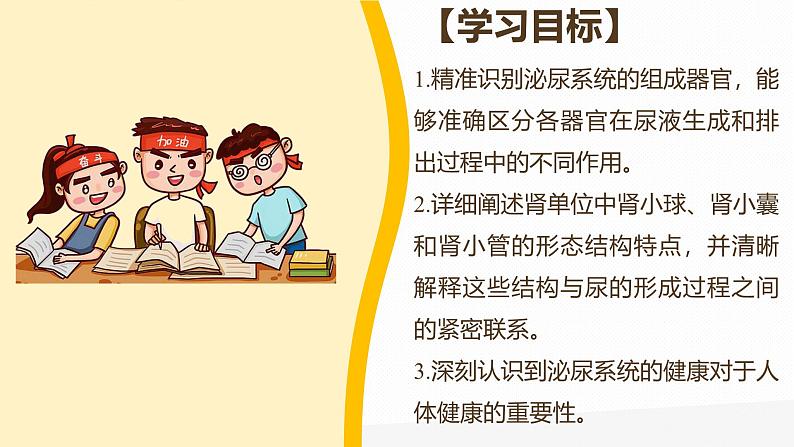 9.2尿的形成与排出 PPT BSD第2页