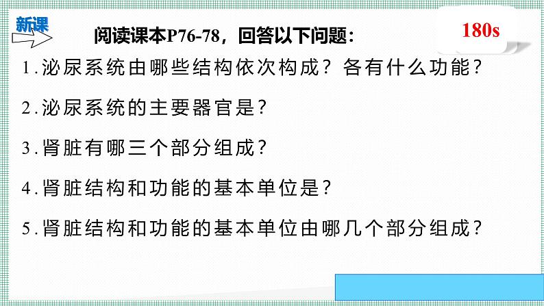 9.2尿的形成与排出 PPT BSD第4页