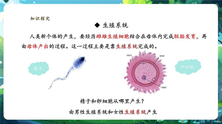 【大單元教學(xué)】人教版（新教材）生物七下 4.1.1人的生殖 課件 課件(共32張PPT)+視頻素材第4頁