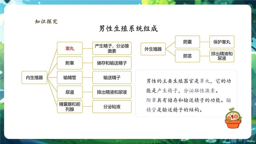 【大單元教學(xué)】人教版（新教材）生物七下 4.1.1人的生殖 課件 課件(共32張PPT)+視頻素材第7頁