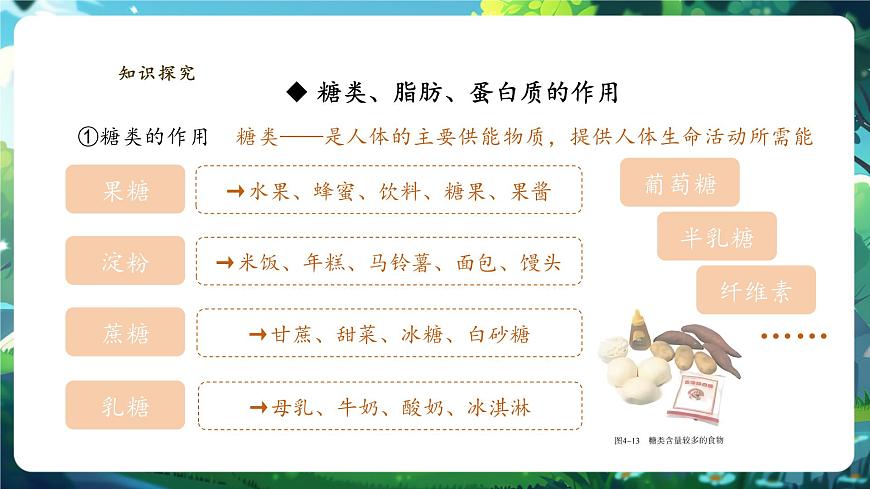 【大單元教學(xué)】人教版（新教材）生物七下 4.2.1食物中的營(yíng)養(yǎng)物質(zhì) 課件(共26張PPT)+視頻素材第5頁(yè)