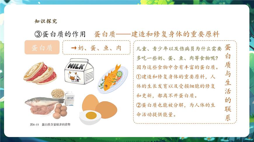 【大單元教學(xué)】人教版（新教材）生物七下 4.2.1食物中的營(yíng)養(yǎng)物質(zhì) 課件(共26張PPT)+視頻素材第8頁(yè)