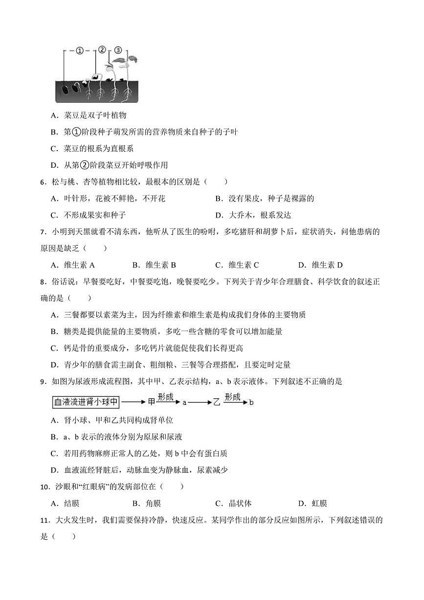 2025年黑龙江省牡丹江市中考生物模拟试卷(含答案)第2页