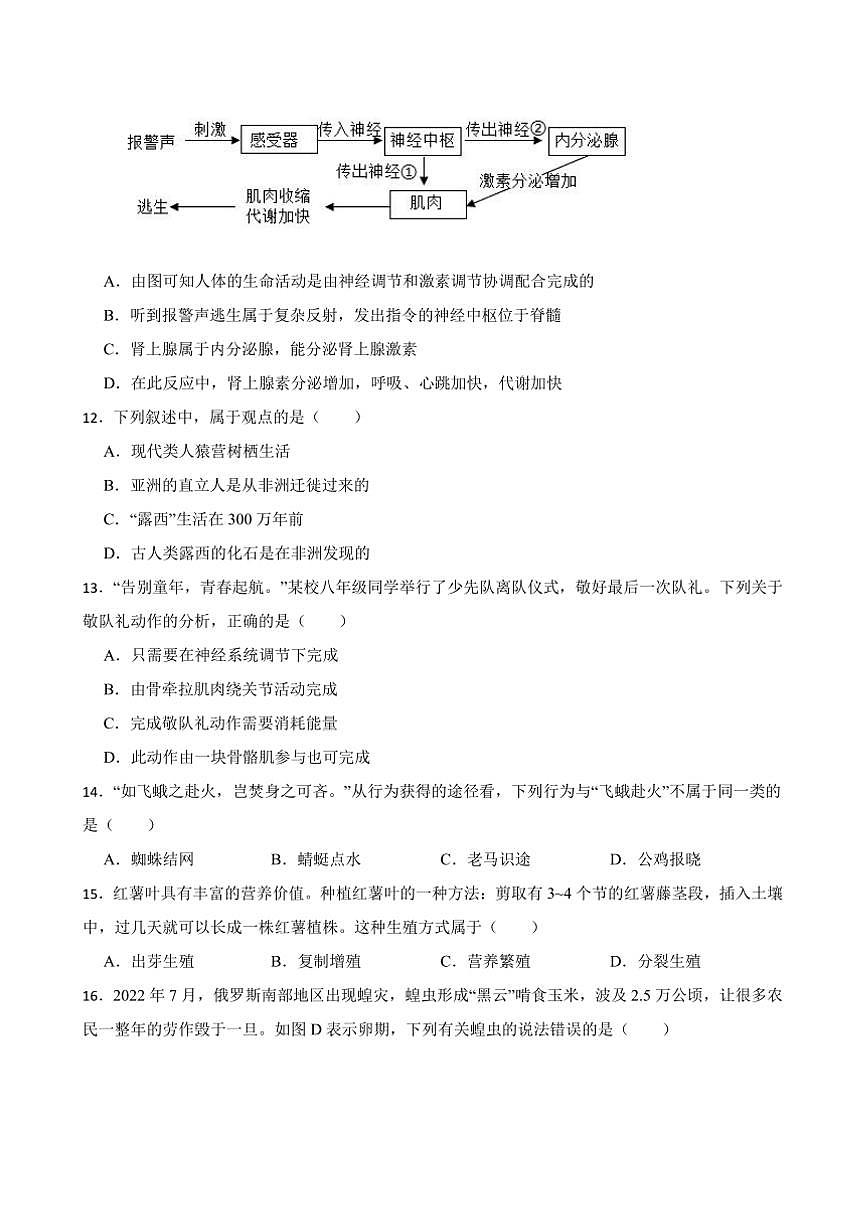 2025年黑龙江省牡丹江市中考生物模拟试卷(含答案)第3页
