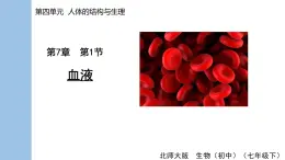 4.7.1 血液 课件-2024-2025学年北师大版生物七年级下册