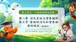 【核心素养优质课】冀少版生物七年级下册 3.1.3.3营养物质的吸收（课件+同步教案+导学案+分层作业）