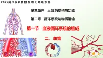 初中二、血管图文ppt课件