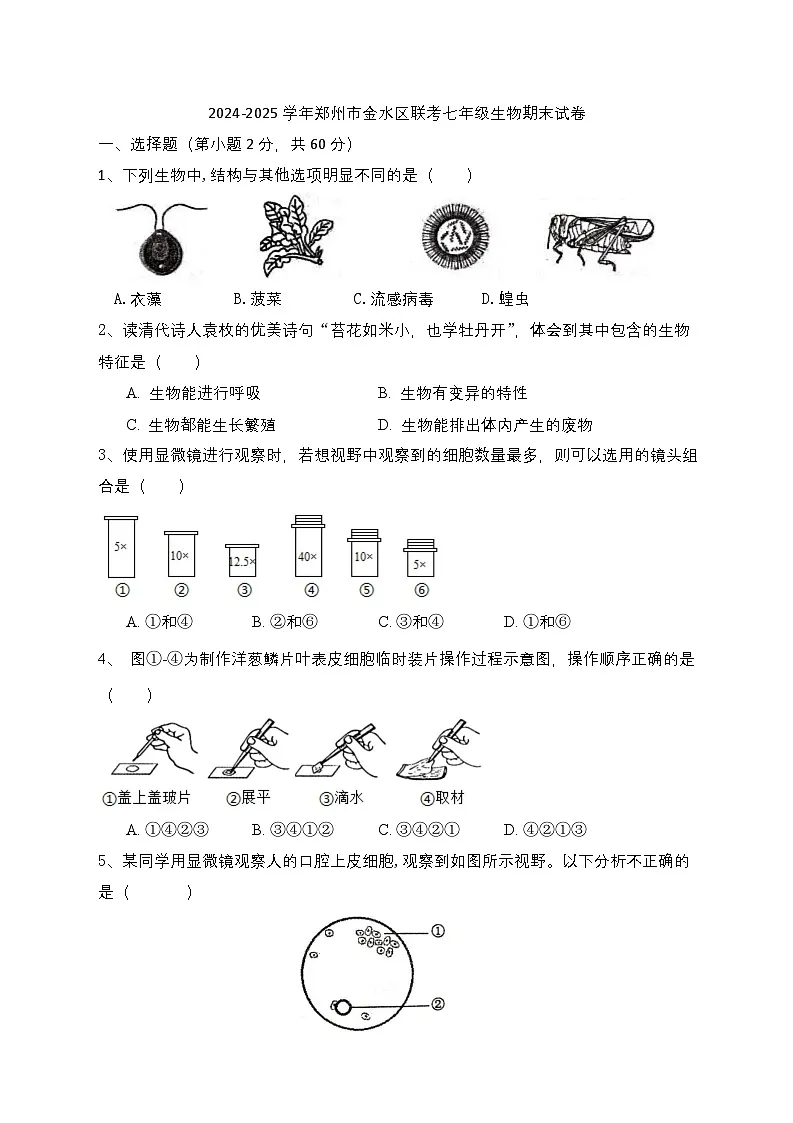 河南省郑州市金水区联考2024-2025学年七年级上学期期末生物试卷第1页