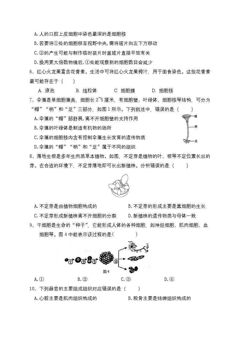 河南省郑州市金水区联考2024-2025学年七年级上学期期末生物试卷第2页
