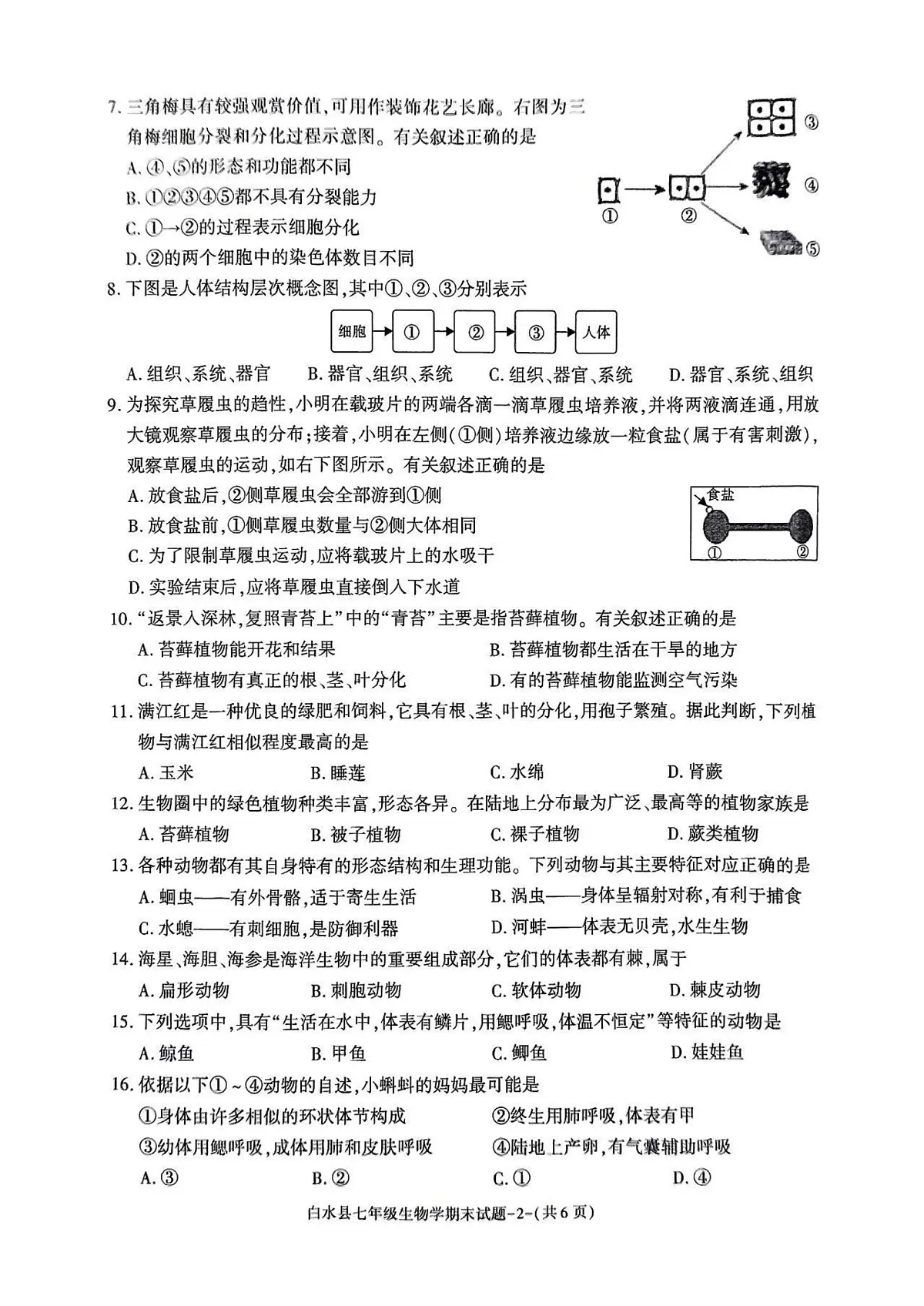 陕西省渭南市白水县2024-2025学年七年级上学期期末考试生物试题第2页