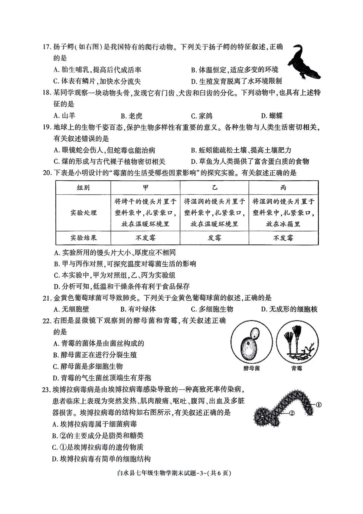 陕西省渭南市白水县2024-2025学年七年级上学期期末考试生物试题第3页