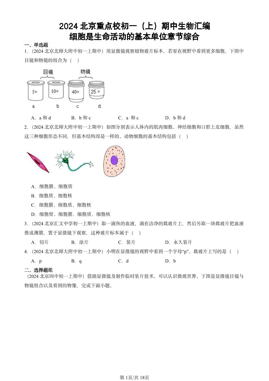 2024北京重点校初一（上）期中真题生物汇编：细胞是生命活动的基本单位章节综合