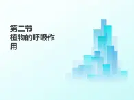 4.11.2  植物的呼吸作用  课件-2024-2025学年苏教版生物七年级下册