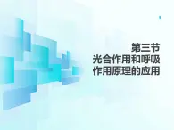 4.11.3   光合作用和呼吸作用原理的应用  课件-2024-2025学年苏教版生物七年级下册