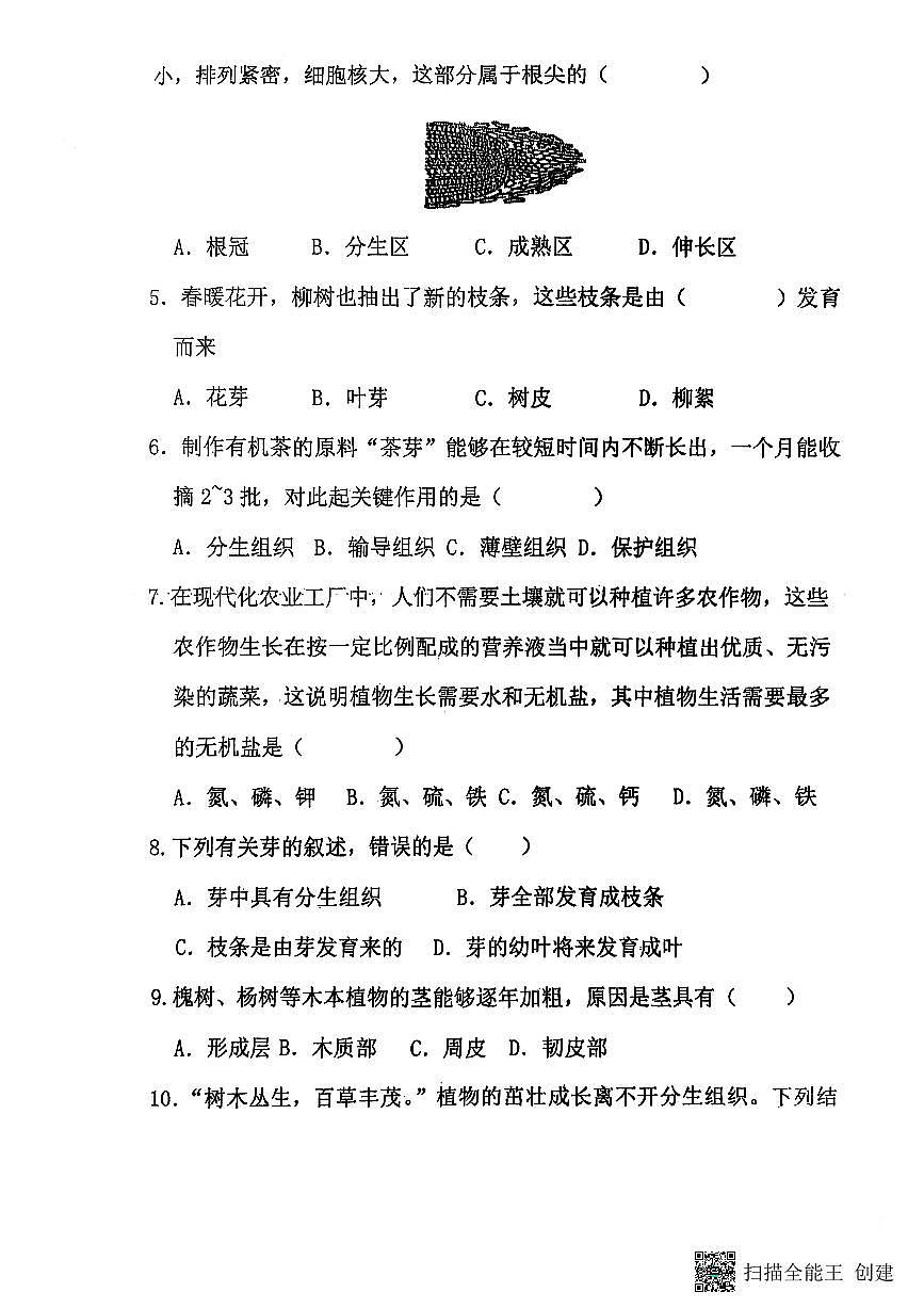 山東省聊城市陽谷縣實驗中學(xué)2024-2025學(xué)年七年級下學(xué)期開學(xué)生物試題第2頁