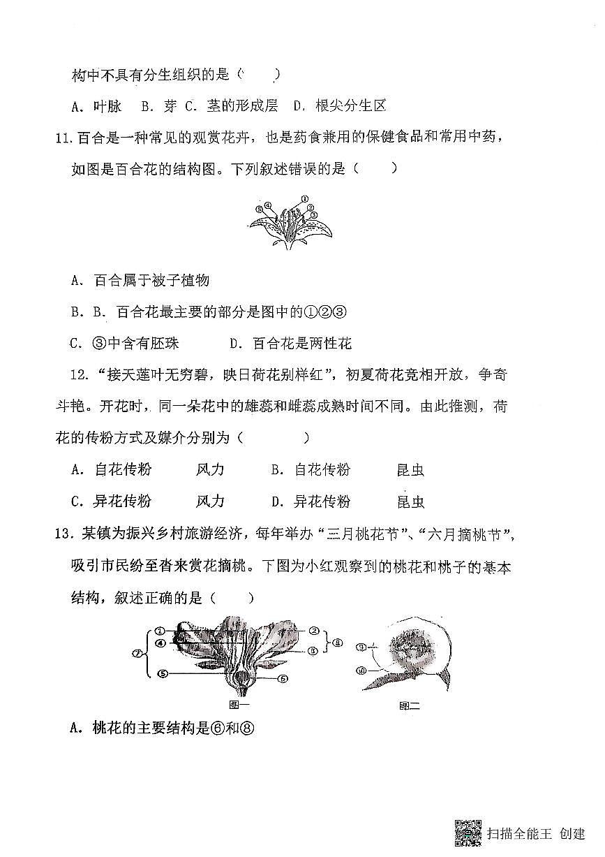 山東省聊城市陽谷縣實驗中學(xué)2024-2025學(xué)年七年級下學(xué)期開學(xué)生物試題第3頁