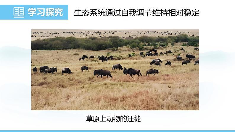 苏教版(2024)七下生物课件 3.8.1 生态系统的自我调节第4页