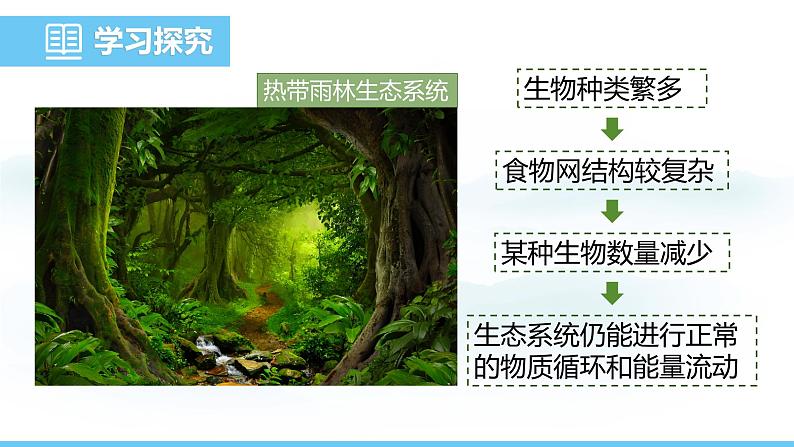 苏教版(2024)七下生物课件 3.8.1 生态系统的自我调节第5页