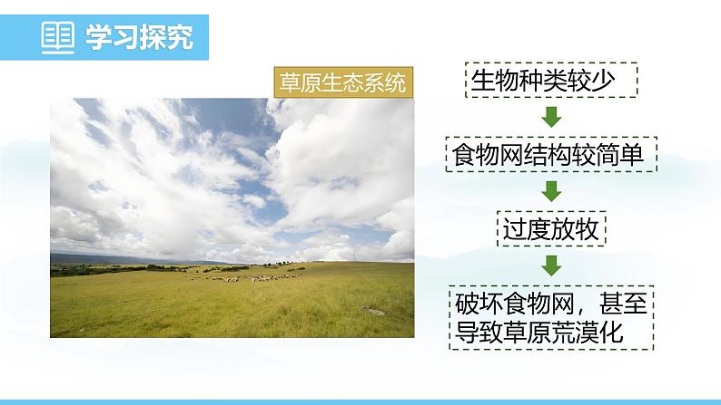苏教版(2024)七下生物课件 3.8.1 生态系统的自我调节第6页