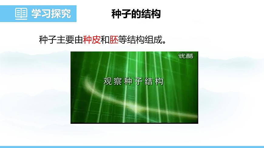 蘇教版（2024）七下生物課件 4.9.1 種子的萌發(fā)第4頁