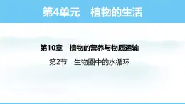 苏教版（2024）七下生物课件 4.10.2 生物圈中的水循环