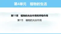 初中生物苏教版（2024）七年级下册（2024）第1节 植物的光合作用教学演示课件ppt