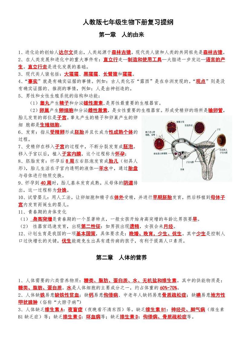 3.人教版七年级生物下册期末复习复习提纲学案第1页