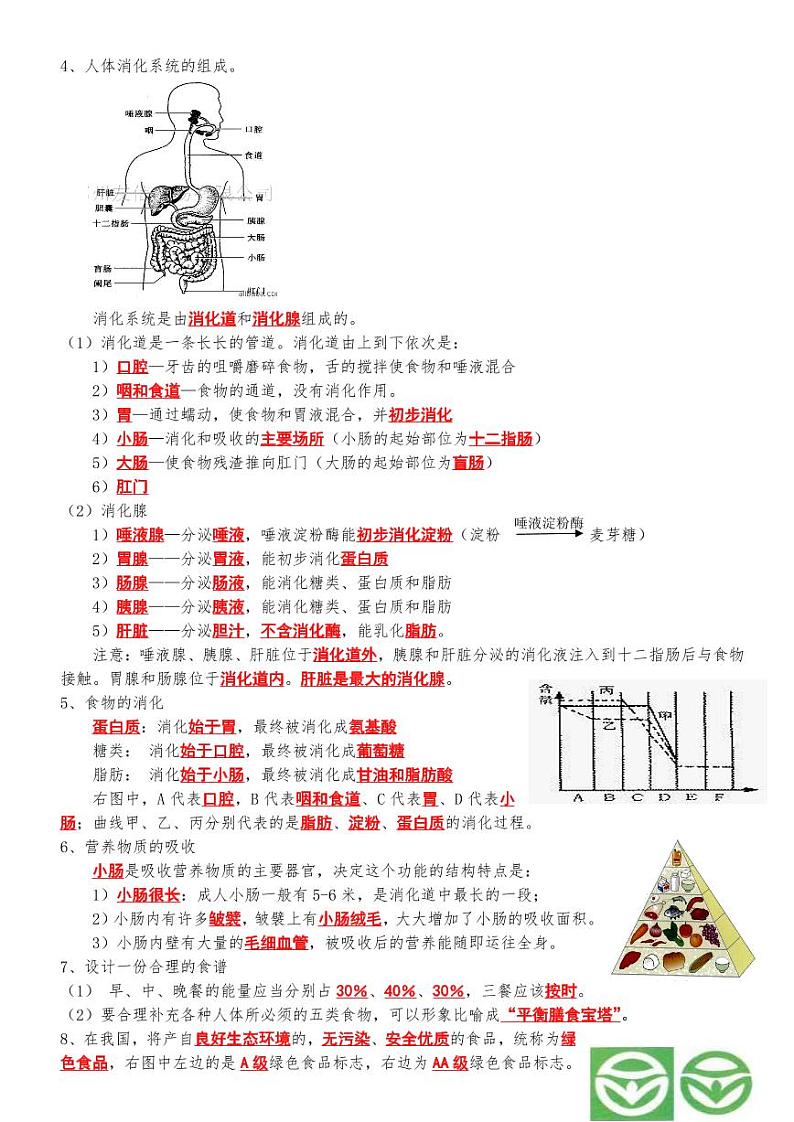 3.人教版七年级生物下册期末复习复习提纲学案第2页