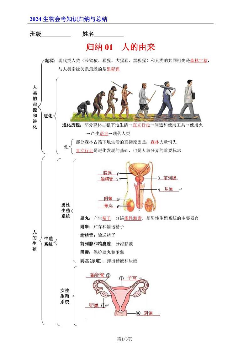 7年级下册人教版生物期末复习01 人的由来(晨读版)学案第1页