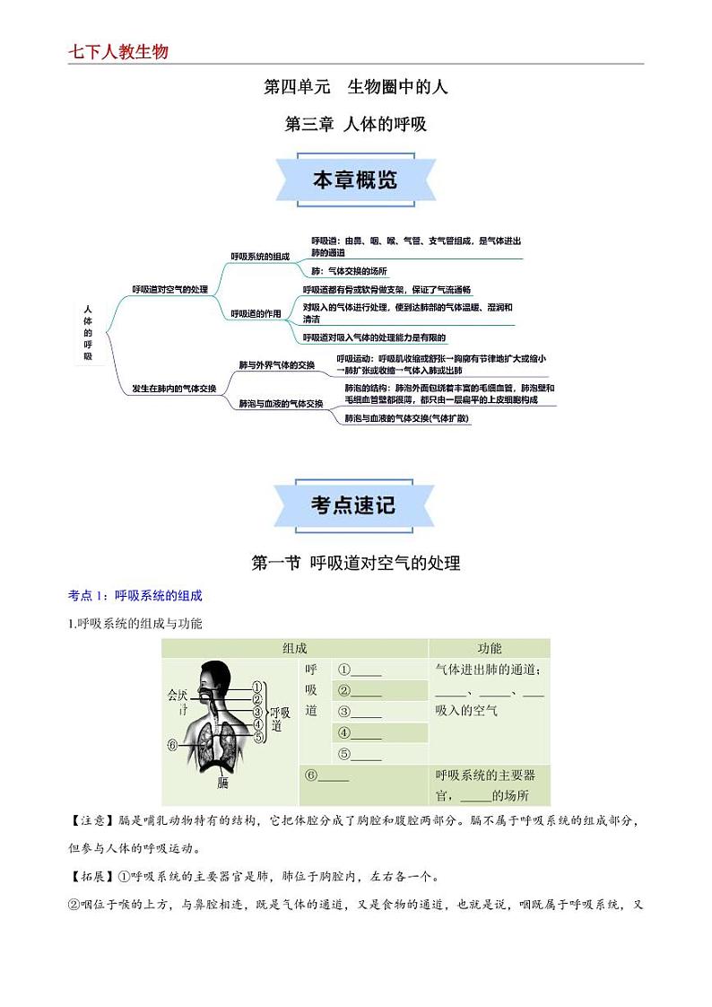 7年级下册人教版生物期末复习第三章 人体的呼吸 【速记清单】(原卷版)第1页