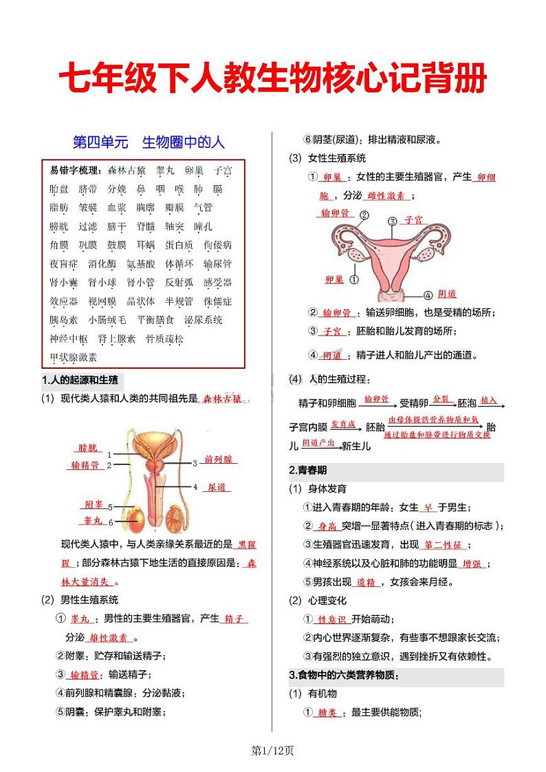 7年级下册人教版生物期末复习【核心记背册】学案第1页