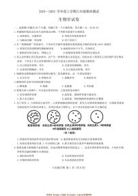 2024～2025学年吉林省长春市绿园区八年级上期末生物试卷(含答案)